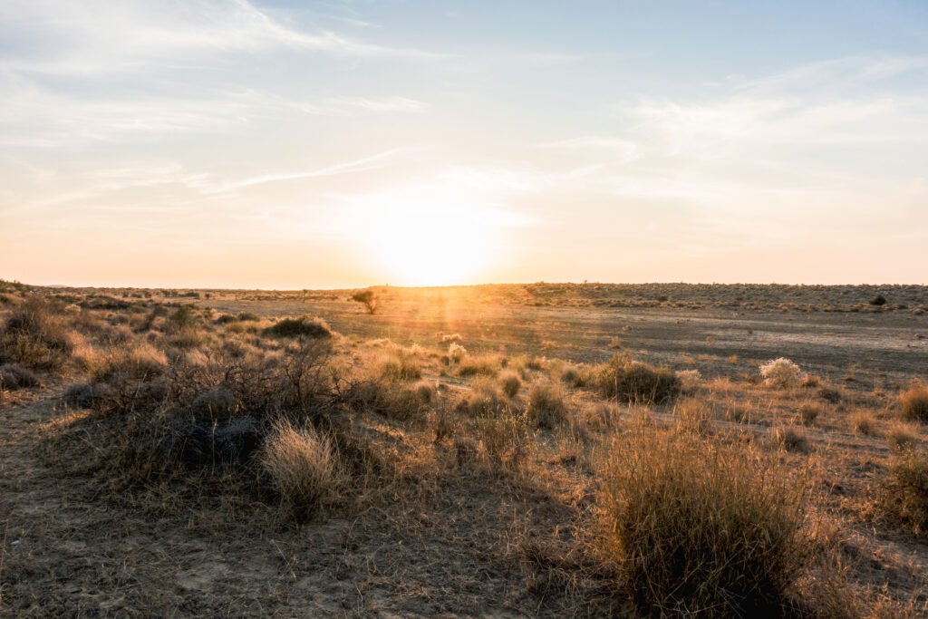 Sunrise with Tumbleweeds